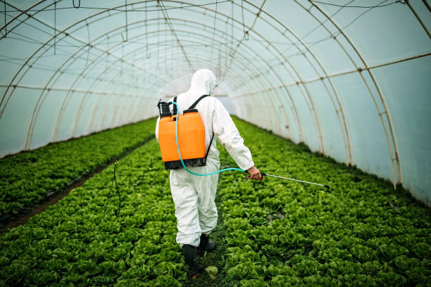 Pest Control for Restaurants in South Fallsburg, NY