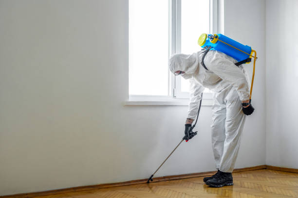 Best Best Pest Control Companies  in South Fallsburg, NY