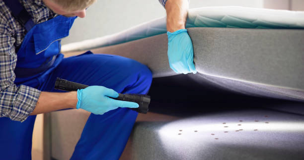 Best Flea Control Services  in South Fallsburg, NY