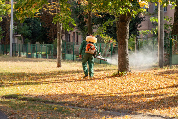 Best Rat Extermination Near Me  in South Fallsburg, NY