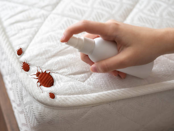 Pest Prevention Services in South Fallsburg, NY